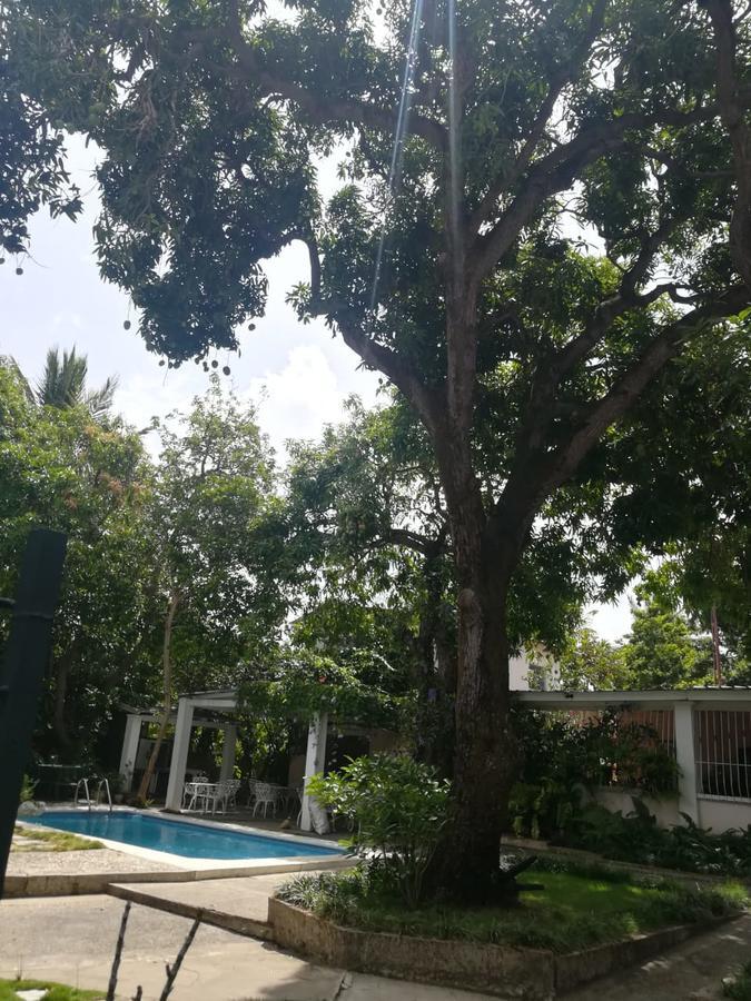 Villa Carolina Bed And Breakfast Puerto Plata Exterior foto